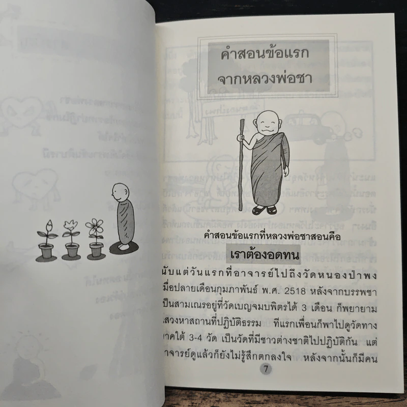 มีขันติ คือ ให้พรแก่ตัวเอง - พระอาจารย์มิตซูโอะ คเวสโก รูปที่ 8
