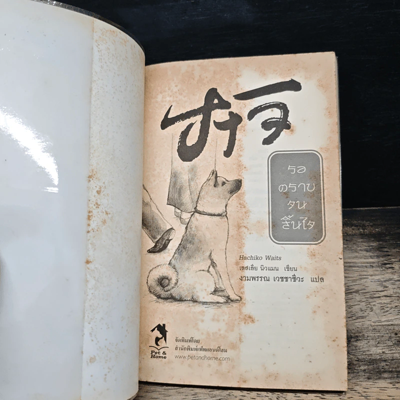 ฮาจิ รอตราบจนสิ้นใจ - เลสเลีย นิวแมน, งามพรรณ เวชชาชีวะ รูปที่ 6