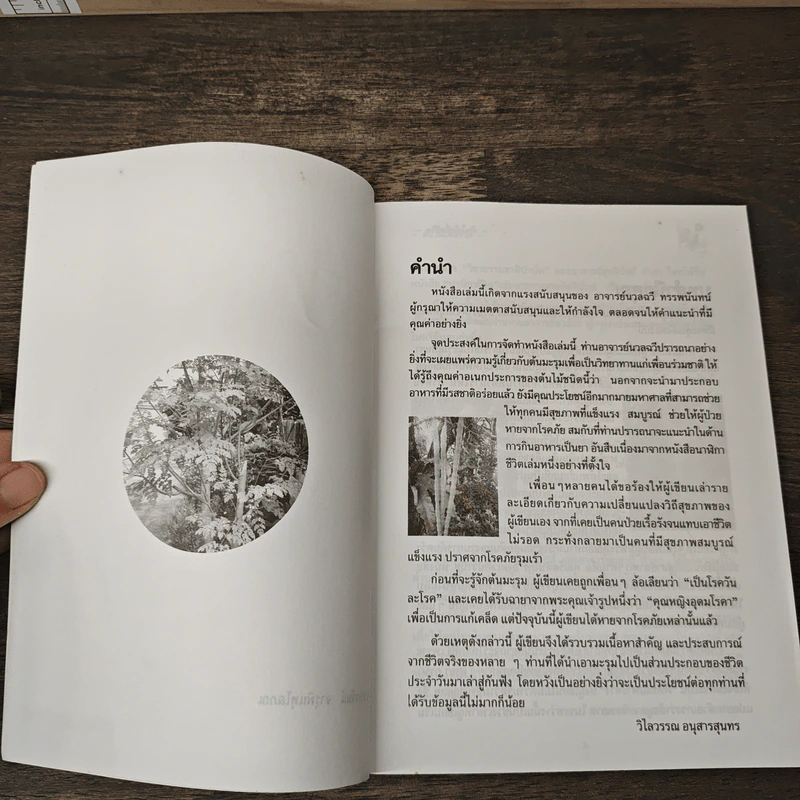 นาฬิกาชีวิต ตอน 2 มะรุม ต้นไม้เพื่อชีวิต - วิไลวรรณ อนุสารสุนทร รูปที่ 6