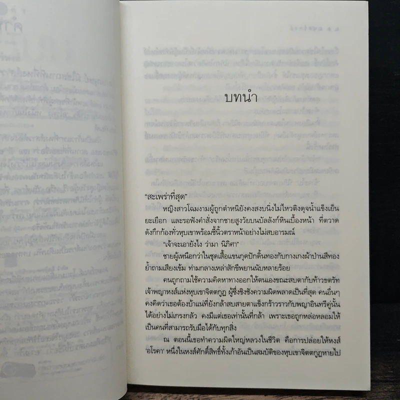 มนตร์หงส์ - วิวา รูปที่ 7