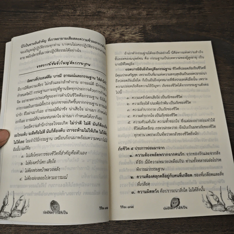 ปลงให้ตก วางให้เป็น - ชินวัฒก์ รัตรเสถียร รูปที่ 8