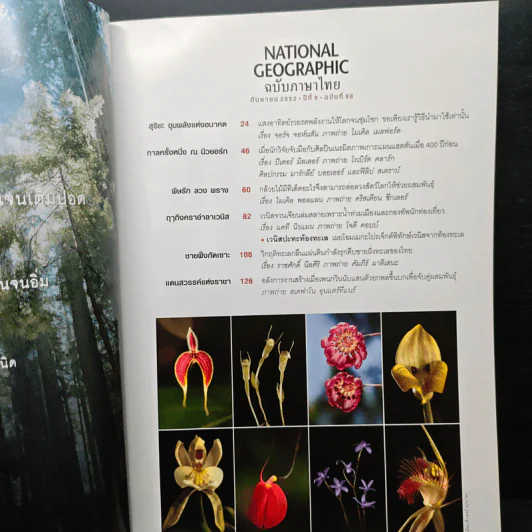 National Geographic ฉบับที่ 25 ก.ย.2552 รูปที่ 6