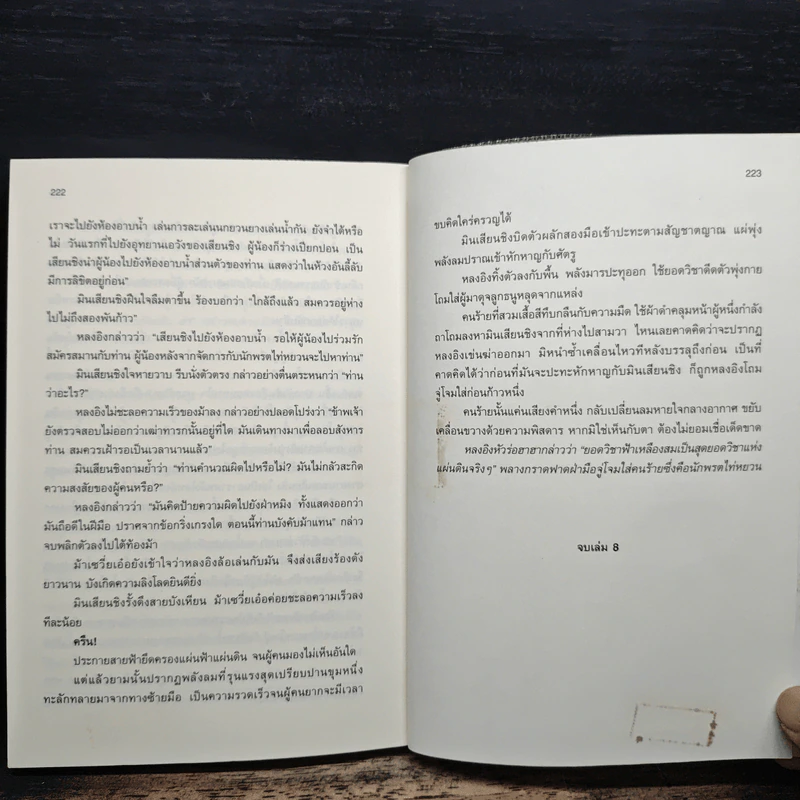 เหยี่ยวมารสะท้านสิบทิศ เล่ม 8 - หวงอี้, น.นพรัตน์ รูปที่ 8