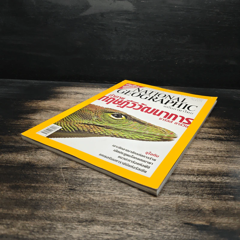 National Geographic พ.ย.2547 รูปที่ 4