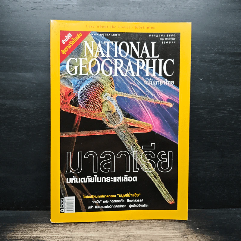 National Geographic ฉบับที่ 72 ก.ค.2550 รูปที่ 1