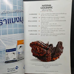 National Geographic ฉบับที่ 93 เม.ย. 2552 ฮัตเชปชุต รูปที่ 7