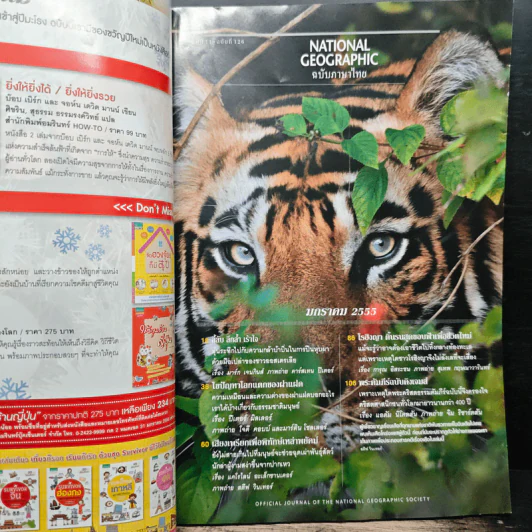 NATIONAL GEOGRAPHIC  ฉบับที่ 126 ม.ค. 2555 รูปที่ 7