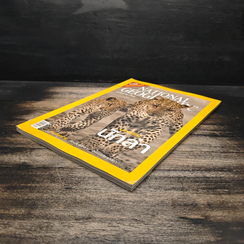 National Geographic ฉบับที่ 69 เม.ย.2550 บทเรียนนักล่า รูปที่ 4