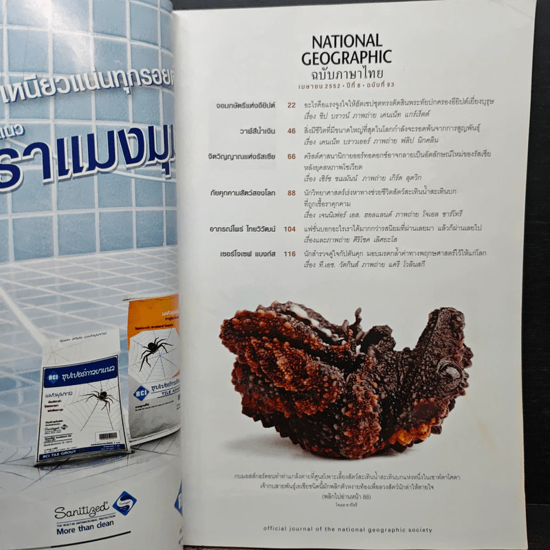 National Geographic ฉบับที่ 93 เม.ย. 2552 ฮัตเชปชุต รูปที่ 7