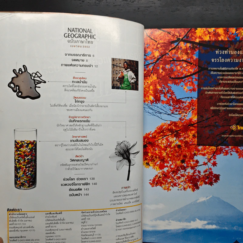 National Geographic ฉบับที่ 93 เม.ย. 2552 ฮัตเชปชุต รูปที่ 8