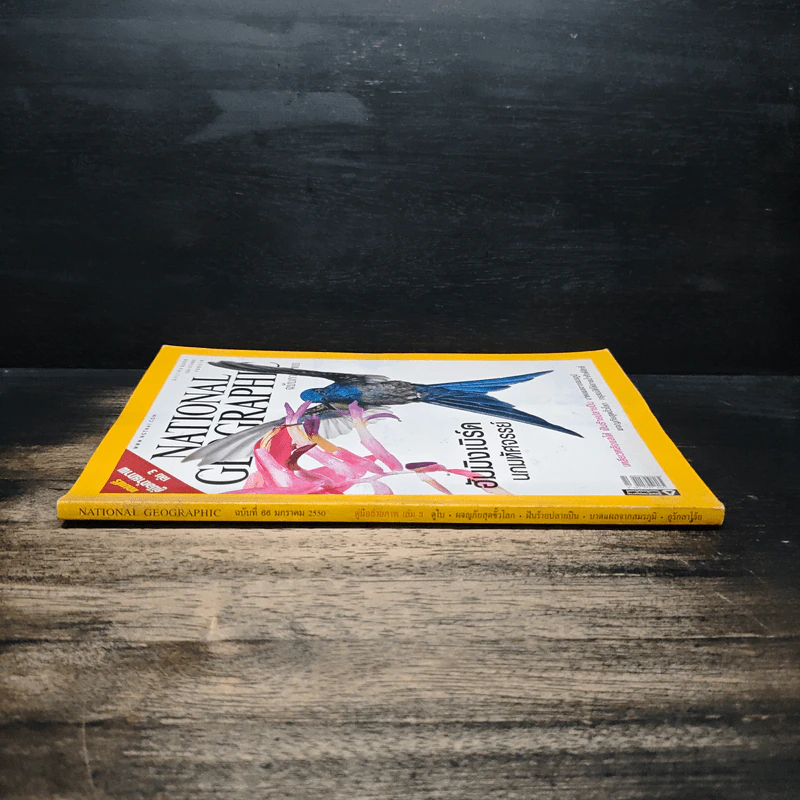 National Geographic ฉบับที่ 66 ม.ค.2550 ฮัมมิงเบิร์ด นกมหัศจรรย์ รูปที่ 3