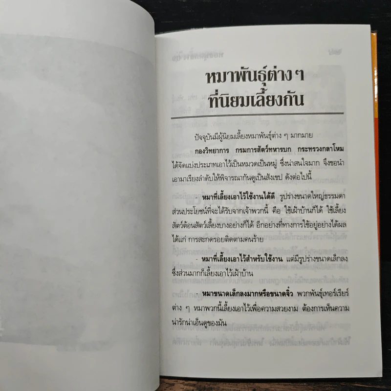 คู่มือเลี้ยงหมา - หมอหมา รูปที่ 8