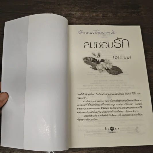 ลมซ่อนรัก - นราเกตต์ รูปที่ 6