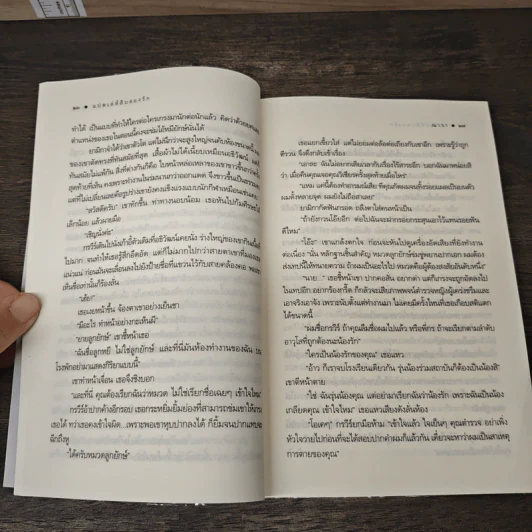แปดเล่ห์สิบสองรัก - ณารา รูปที่ 8