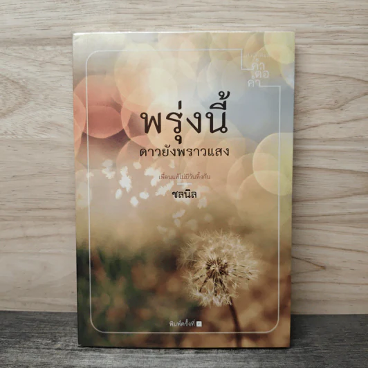 พรุ่งนี้ดาวยังพราวแสง - ชลนิล รูปที่ 1