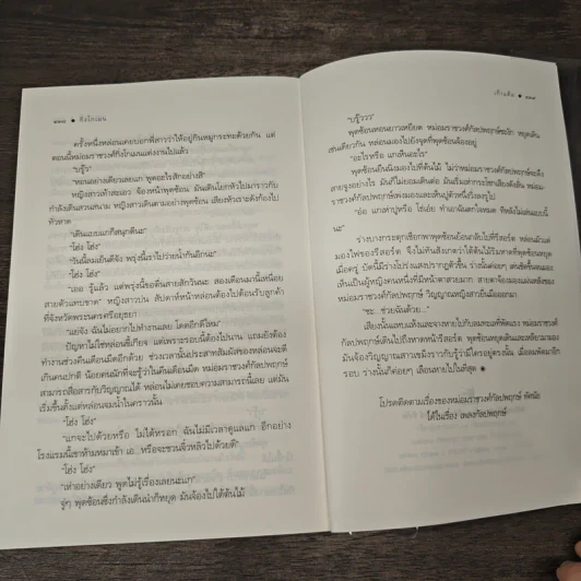 กิ่งโกเมน - เก้าแต้ม รูปที่ 9
