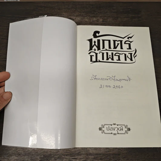 พักตร์อำพราง - ปองวุฒิ รูปที่ 6