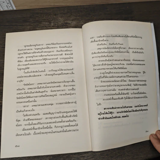 มณีแดนสรวง - พงศกร รูปที่ 9