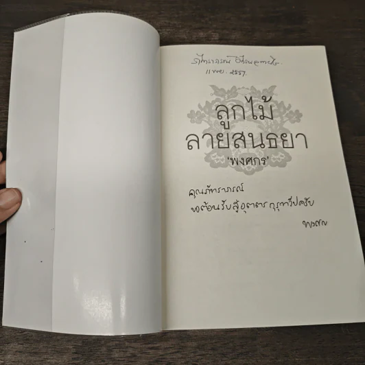 ลูกไม้ลายสนธยา - พงศกร รูปที่ 6
