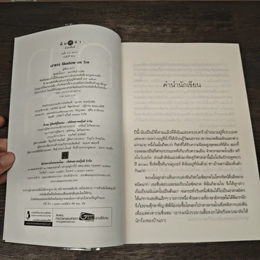 เงาลวง - ณารา รูปที่ 7