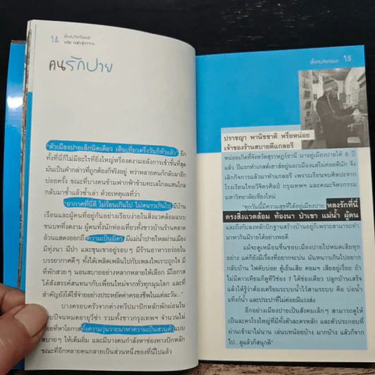 เที่ยวปายกันเถอะ - ยอด เนตรสุวรรณ รูปที่ 8