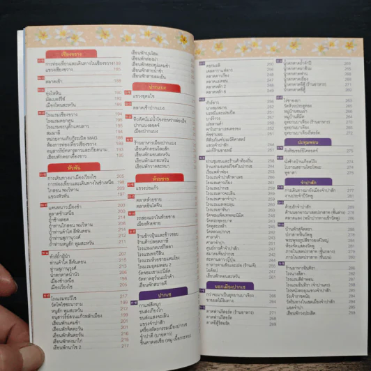 ลาว คู่มือเที่ยวตามใจชอบ รูปที่ 12