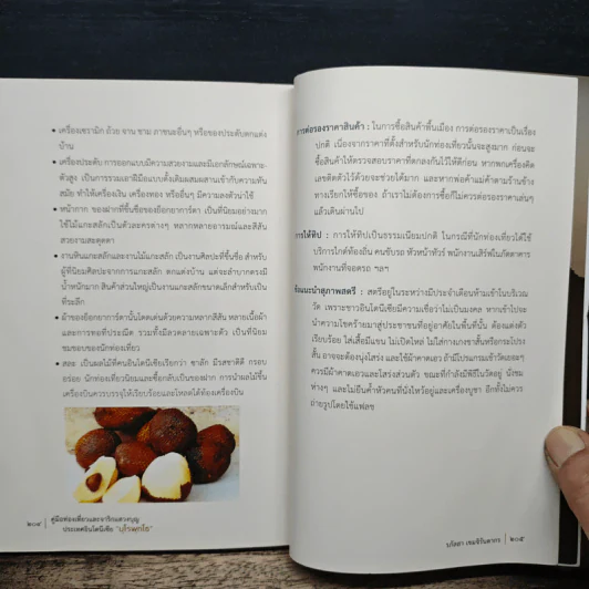 คู่มือท่องเที่ยวจาริกแสวงบุญ บุโรพุทโธ - รภัสสา เขมจิรันตากร รูปที่ 10