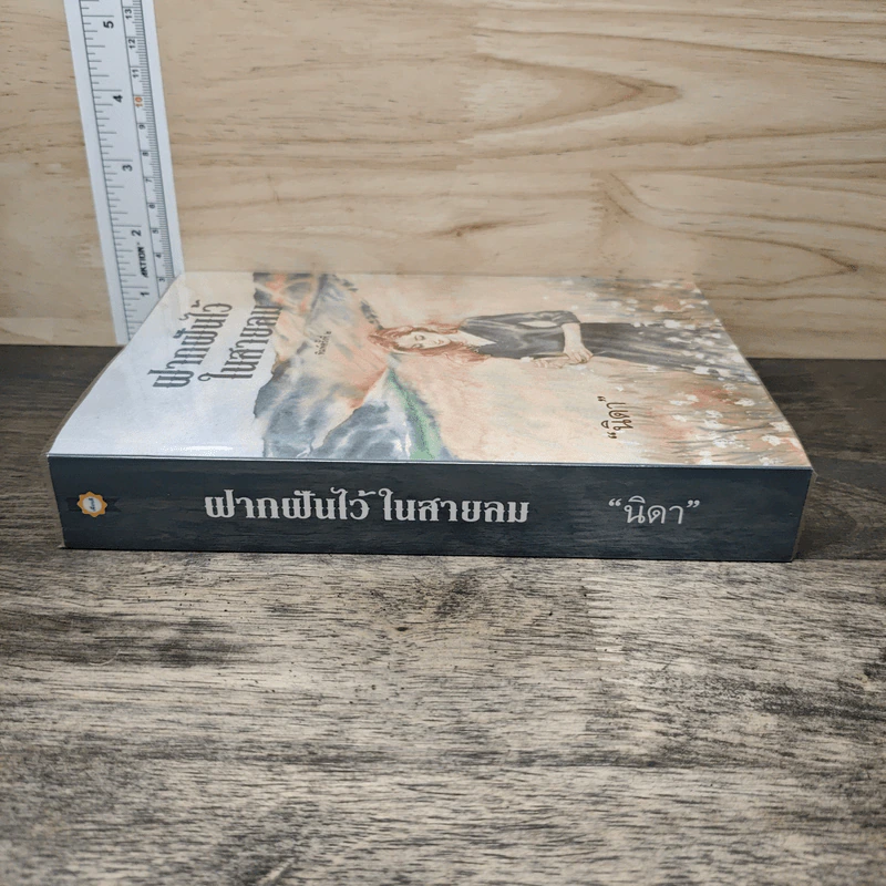 ฝากฝันไว้ในสายลม - นิดา รูปที่ 2