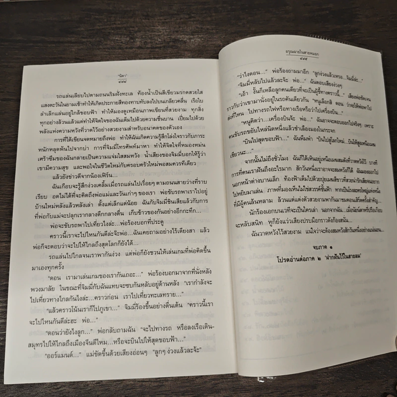 อรุณฉายในสายหมอก - นิดา รูปที่ 9