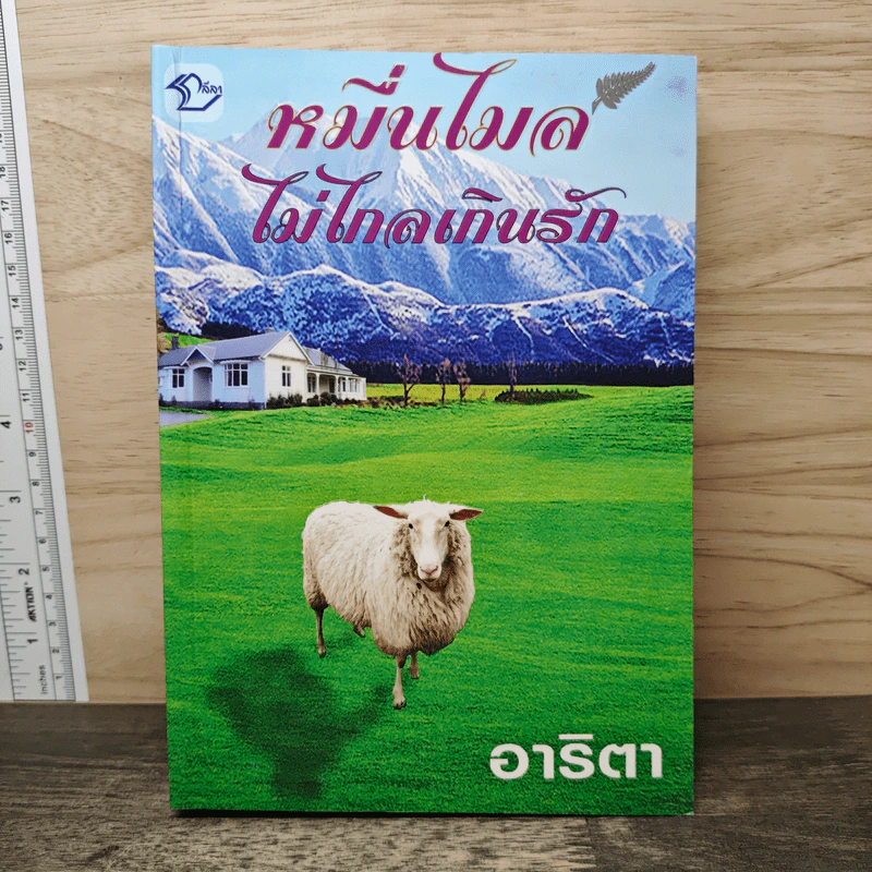 หมื่นไมล์ไม่ไกลเกินรัก - อาริตา รูปที่ 1