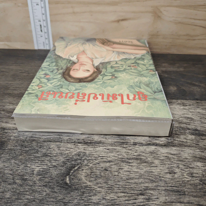 ลูกไม้เปลี่ยนสี - วัตตรา รูปที่ 4