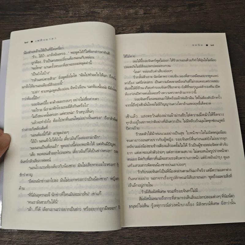 เพลิงนาคา - ชลนิล รูปที่ 8