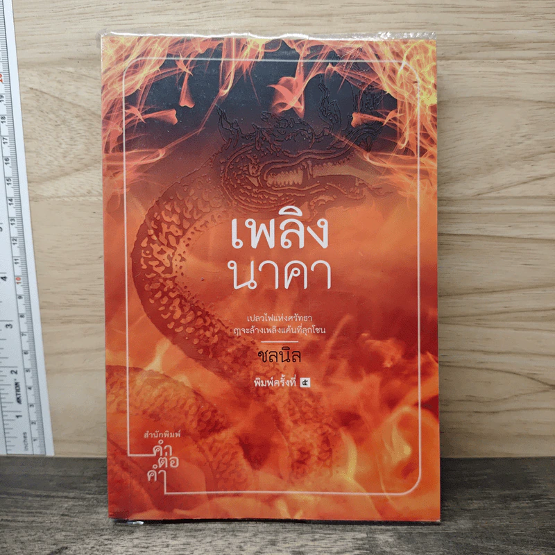 เพลิงนาคา - ชลนิล รูปที่ 1
