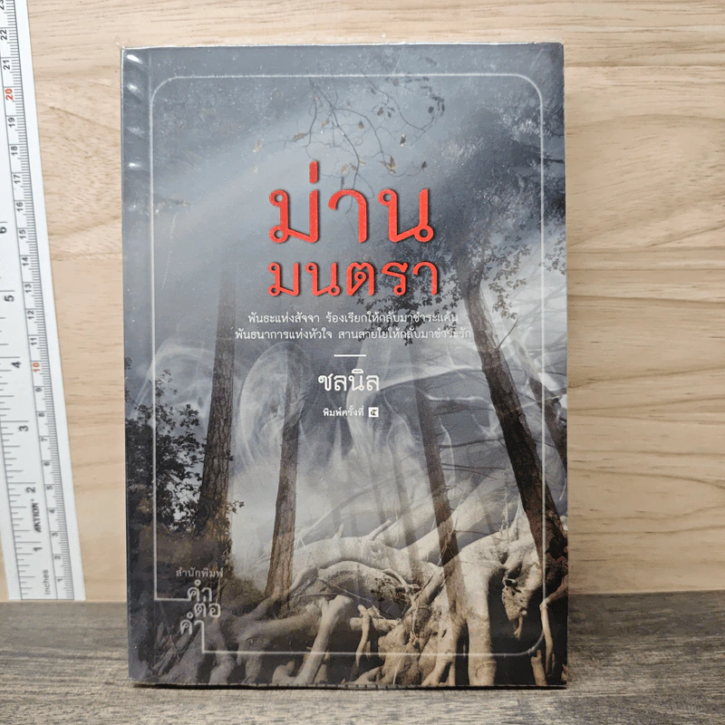 ม่านมนตรา - ชลนิล รูปที่ 1