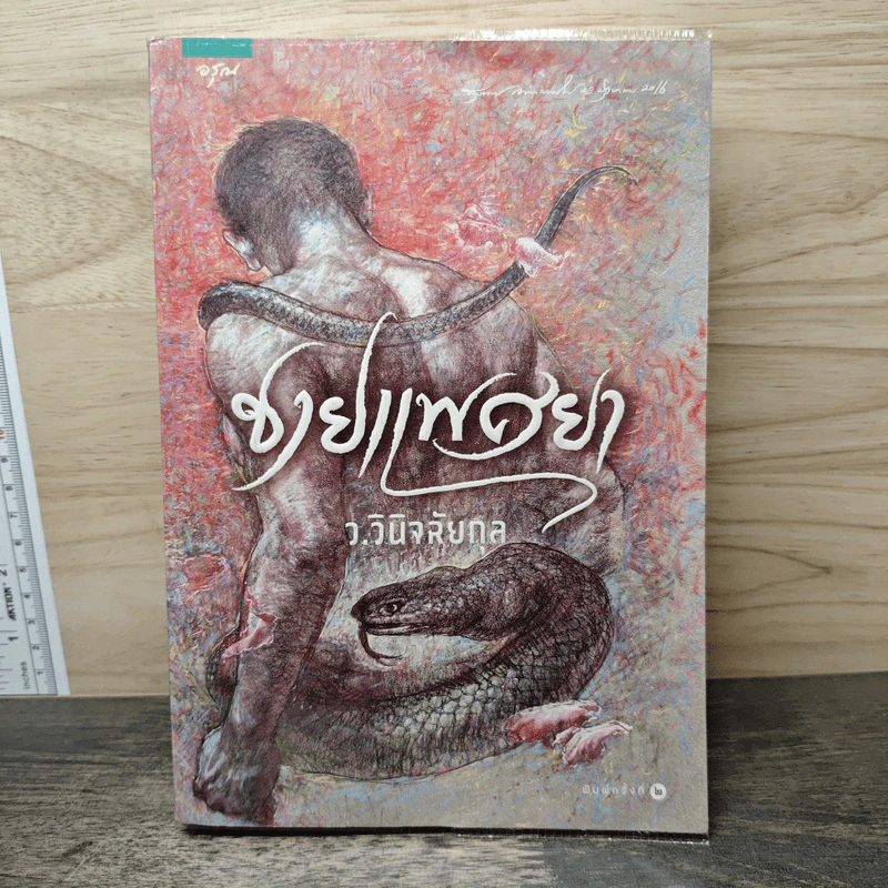 ชายแพศยา - ว.วินิจฉัยกุล รูปที่ 1