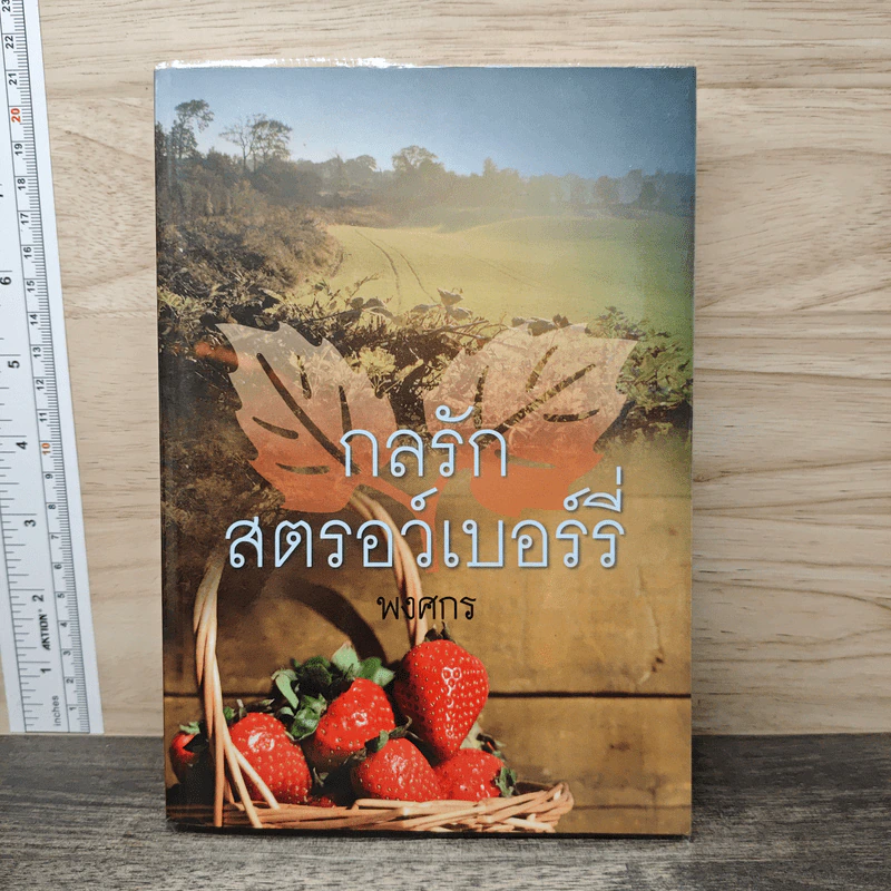 กลรักสตรอว์เบอร์รี่ - พงศกร รูปที่ 1