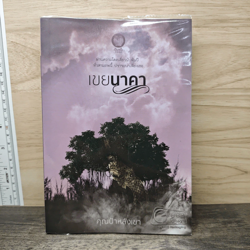 เขยนาคา - คุณป้าหลังเขา รูปที่ 1