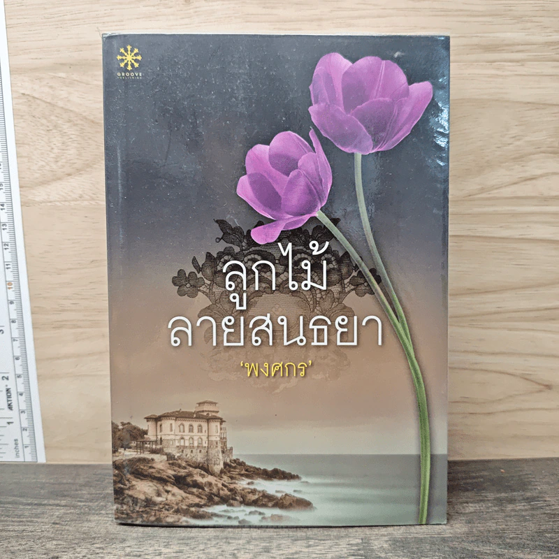 ลูกไม้ลายสนธยา - พงศกร รูปที่ 1