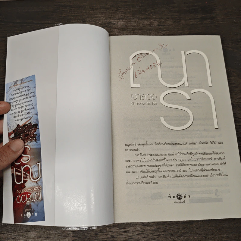 เงาลวง - ณารา รูปที่ 6