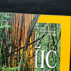 National Geographic ฉบับที่ 99 ต.ค. 2552 เรดวูด รูปที่ 6