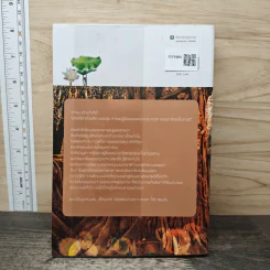 อโยเดีย - รอยไท รูปที่ 5