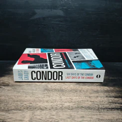 Condor - James Grady รูปที่ 3