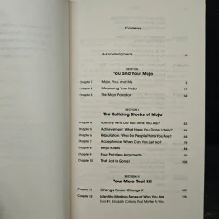 Mojo: How to Get It, How to Keep It, How to Get It Back If You Lose It - Marshall Goldsmith, Mark Reiter รูปที่ 6