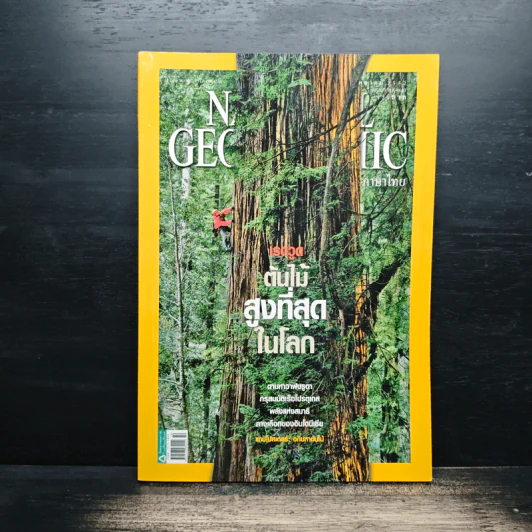 National Geographic ฉบับที่ 99 ต.ค. 2552 เรดวูด รูปที่ 1