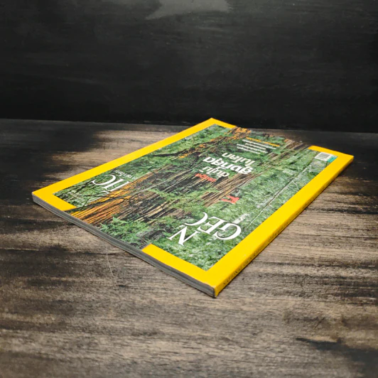 National Geographic ฉบับที่ 99 ต.ค. 2552 เรดวูด รูปที่ 5
