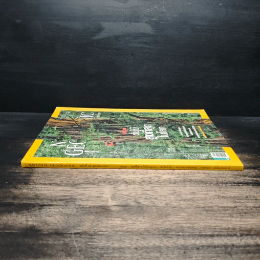 National Geographic ฉบับที่ 99 ต.ค. 2552 เรดวูด รูปที่ 3