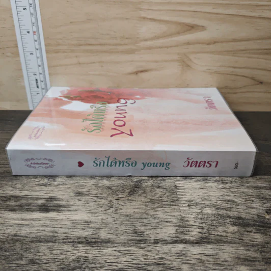 รักได้หรือ young - วัตตรา รูปที่ 2