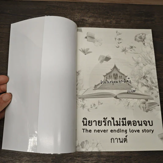 นิยายรักไม่มีตอนจบ - กานต์ รูปที่ 6