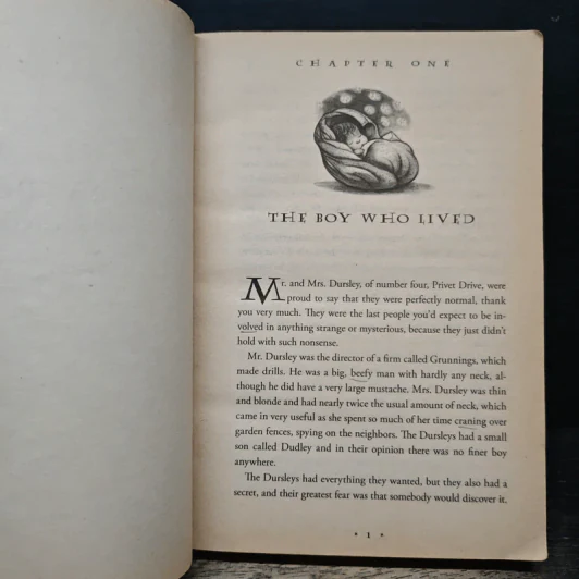 Harry Potter And The Sorcerer's Stone - J.K.Rowling รูปที่ 9