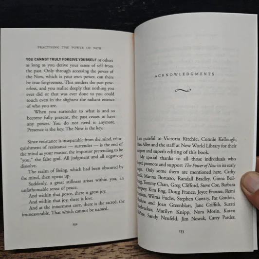 Practising The Power of Now - Eckhart Tolle รูปที่ 9